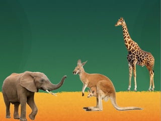 Los animales