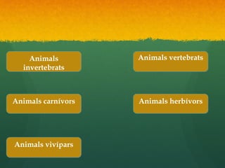 Animals
invertebrats
Animals
invertebrats
Animals vertebratsAnimals vertebrats
Animals carnívorsAnimals carnívors Animals herbívorsAnimals herbívors
Animals vivíparsAnimals vivípars
 
