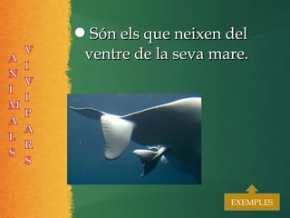 Són els que neixen delSón els que neixen del
ventre de la seva mare.ventre de la seva mare.
EXEMPLESEXEMPLES
 