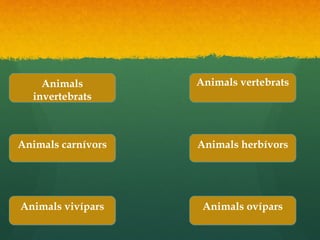 Animals
invertebrats
Animals
invertebrats
Animals carnívorsAnimals carnívors
Animals vertebratsAnimals vertebrats
Animals herbívorsAnimals herbívors
Animals ovíparsAnimals ovíparsAnimals vivíparsAnimals vivípars
 