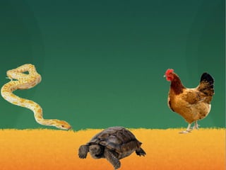 Los animales
