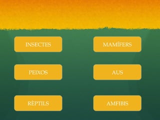 INSECTESINSECTES
PEIXOSPEIXOS
RÈPTILSRÈPTILS
MAMÍFERSMAMÍFERS
AUSAUS
AMFIBISAMFIBIS
 