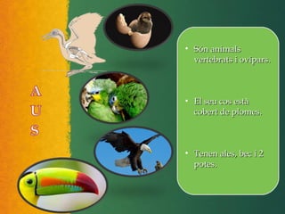 • Són animalsSón animals
vertebrats i ovípars.vertebrats i ovípars.
• El seu cos estàEl seu cos està
cobert de plomes.cobert de plomes.
• Tenen ales, bec i 2Tenen ales, bec i 2
potes.potes.
 