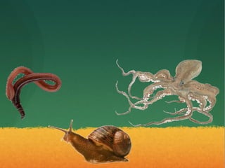 Los animales
