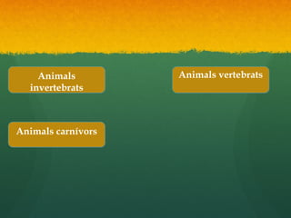 Animals
invertebrats
Animals
invertebrats
Animals vertebratsAnimals vertebrats
Animals carnívorsAnimals carnívors
 