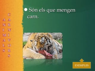 Són els que mengenSón els que mengen
carn.carn.
EXEMPLESEXEMPLES
 