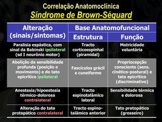 Alteração (sinais/sintomas) 
Base Anatomofuncional 
Estrutura 
Função 
Paralisia espástica, com sinal da Babinski ipsilateral (sd I neurônio motor) 
Tracto corticoespinhal (piramidal) 
Motricidade voluntária 
Abolição da sensibilidade profunda (posição e movimento) e do tato epicrítico ipsilateral 
Fascículos grácil e cuneiforme 
Propriocepção consciente (sens. cinético-postural) e tato epicrítico (discriminativo) 
Anestesia/hipoestesia térmico-dolorosa contralateral 
Tracto espinotalâmico lateral 
Sensibilidade térmica e dolorosa 
Alteração do tato protopático contralateral 
Tracto espino- talâmico anterior 
Tato protopático (grosseiro) 
Correlação Anatomoclínica Síndrome de Brown-Séquard  
