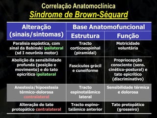 Alteração (sinais/sintomas) 
Base Anatomofuncional 
Estrutura 
Função 
Paralisia espástica, com sinal da Babinski ipsilateral (sd I neurônio motor) 
Tracto corticoespinhal (piramidal) 
Motricidade voluntária 
Abolição da sensibilidade profunda (posição e movimento) e do tato epicrítico ipsilateral 
Fascículos grácil e cuneiforme 
Propriocepção consciente (sens. cinético-postural) e tato epicrítico (discriminativo) 
Anestesia/hipoestesia térmico-dolorosa contralateral 
Tracto espinotalâmico lateral 
Sensibilidade térmica e dolorosa 
Alteração do tato protopático contralateral 
Tracto espino- talâmico anterior 
Tato protopático (grosseiro) 
Correlação Anatomoclínica Síndrome de Brown-Séquard  