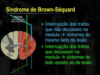 Síndrome de Brown-Séquard 
•Interrupção dos tratos que não decussam na medula  sintomas do mesmo lado da lesão 
•Interrupção dos tratos que decussam na medula  sintomas do lado oposto ao da lesão BULBO (decussação das pirâmides) MEDULA (hemisseccionada)  