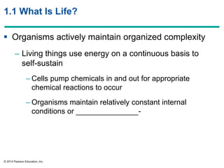 © 2014 Pearson Education, Inc.
1.1 What Is Life?
 Organisms actively maintain organized complexity
– Living things use energy on a continuous basis to
self-sustain
– Cells pump chemicals in and out for appropriate
chemical reactions to occur
– Organisms maintain relatively constant internal
conditions or _______________-
 