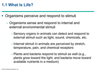 © 2014 Pearson Education, Inc.
1.1 What Is Life?
 Organisms perceive and respond to stimuli
– Organisms sense and respond to internal and
external environmental stimuli
– Sensory organs in animals can detect and respond to
external stimuli such as light, sound, chemicals, etc.
– Internal stimuli in animals are perceived by stretch,
temperature, pain, and chemical receptors
– Plants and bacteria respond to stimuli as well (e.g.,
plants grow toward the light, and bacteria move toward
available nutrients in a medium)
 