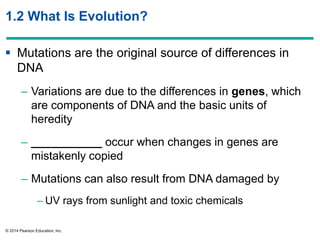 © 2014 Pearson Education, Inc.
1.2 What Is Evolution?
 Mutations are the original source of differences in
DNA
– Variations are due to the differences in genes, which
are components of DNA and the basic units of
heredity
– ___________ occur when changes in genes are
mistakenly copied
– Mutations can also result from DNA damaged by
– UV rays from sunlight and toxic chemicals
 