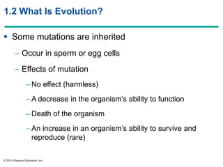 © 2014 Pearson Education, Inc.
1.2 What Is Evolution?
 Some mutations are inherited
– Occur in sperm or egg cells
– Effects of mutation
– No effect (harmless)
– A decrease in the organism’s ability to function
– Death of the organism
– An increase in an organism’s ability to survive and
reproduce (rare)
 
