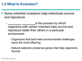 © 2014 Pearson Education, Inc.
1.2 What Is Evolution?
 Some inherited mutations help individuals survive
and reproduce
– ________ ________is the process by which
organisms with certain inherited traits survive and
reproduce better than others in a particular
environment
– Organisms that best meet environmental challenges
leave the most offspring
– Natural selection preserves genes that help organisms
flourish
 
