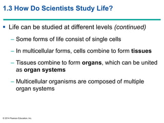 © 2014 Pearson Education, Inc.
1.3 How Do Scientists Study Life?
 Life can be studied at different levels (continued)
– Some forms of life consist of single cells
– In multicellular forms, cells combine to form tissues
– Tissues combine to form organs, which can be united
as organ systems
– Multicellular organisms are composed of multiple
organ systems
 