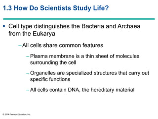 © 2014 Pearson Education, Inc.
1.3 How Do Scientists Study Life?
 Cell type distinguishes the Bacteria and Archaea
from the Eukarya
–All cells share common features
– Plasma membrane is a thin sheet of molecules
surrounding the cell
– Organelles are specialized structures that carry out
specific functions
– All cells contain DNA, the hereditary material
 