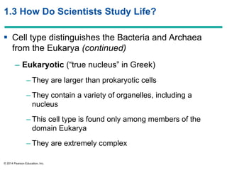 © 2014 Pearson Education, Inc.
1.3 How Do Scientists Study Life?
 Cell type distinguishes the Bacteria and Archaea
from the Eukarya (continued)
– Eukaryotic (―true nucleus‖ in Greek)
– They are larger than prokaryotic cells
– They contain a variety of organelles, including a
nucleus
– This cell type is found only among members of the
domain Eukarya
– They are extremely complex
 