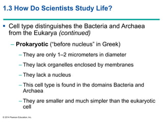 © 2014 Pearson Education, Inc.
1.3 How Do Scientists Study Life?
 Cell type distinguishes the Bacteria and Archaea
from the Eukarya (continued)
– Prokaryotic (―before nucleus‖ in Greek)
– They are only 1–2 micrometers in diameter
– They lack organelles enclosed by membranes
– They lack a nucleus
– This cell type is found in the domains Bacteria and
Archaea
– They are smaller and much simpler than the eukaryotic
cell
 