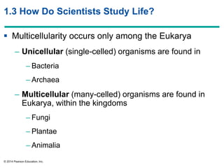© 2014 Pearson Education, Inc.
1.3 How Do Scientists Study Life?
 Multicellularity occurs only among the Eukarya
– Unicellular (single-celled) organisms are found in
– Bacteria
– Archaea
– Multicellular (many-celled) organisms are found in
Eukarya, within the kingdoms
– Fungi
– Plantae
– Animalia
 