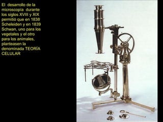 El desarrollo de la
microscopía durante
los siglos XVIII y XIX
permitió que en 1838
Scheleiden y en 1839
Schwan, uno para los
vegetales y el otro
para los animales,
planteasen la
denominada TEORÍA
CELULAR
 
