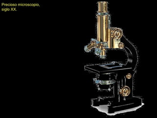 Precioso microscopio,
siglo XX.
 
