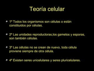 Teoría celular

1º Todos los organismos son células o están
constituidos por células.

2º Las unidades reproductoras,los gametos y esporas,
son también células.

3º Las células no se crean de nuevo, toda célula
proviene siempre de otra célula.

4º Existen seres unicelulares y seres pluricelulares.
 