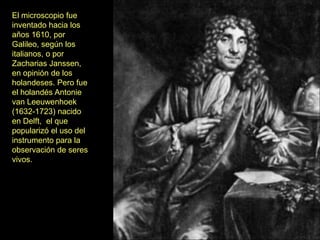El microscopio fue
inventado hacia los
años 1610, por
Galileo, según los
italianos, o por
Zacharias Janssen,
en opinión de los
holandeses. Pero fue
el holandés Antonie
van Leeuwenhoek
(1632-1723) nacido
en Delft, el que
popularizó el uso del
instrumento para la
observación de seres
vivos.
 