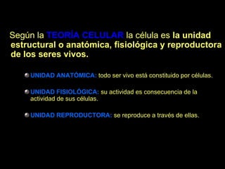 Según la TEORÍA CELULAR la célula es la unidad
estructural o anatómica, fisiológica y reproductora
de los seres vivos.

     UNIDAD ANATÓMICA: todo ser vivo está constituido por células.

     UNIDAD FISIOLÓGICA: su actividad es consecuencia de la
     actividad de sus células.

     UNIDAD REPRODUCTORA: se reproduce a través de ellas.
 