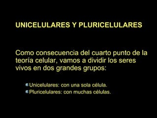 UNICELULARES Y PLURICELULARES


Como consecuencia del cuarto punto de la
teoría celular, vamos a dividir los seres
vivos en dos grandes grupos:

    Unicelulares: con una sola célula.
    Pluricelulares: con muchas células.
 