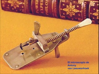El microscopio de
Antony
van Leeuwenhoek
 