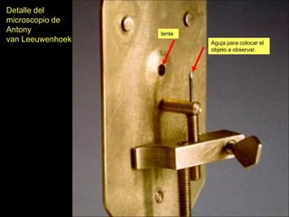 Detalle del
microscopio de
Antony            lente
van Leeuwenhoek           Aguja para colocar el
                          objeto a observar.
 
