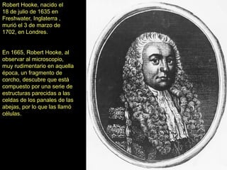 Robert Hooke, nacido el
18 de julio de 1635 en
Freshwater, Inglaterra ,
murió el 3 de marzo de
1702, en Londres.


En 1665, Robert Hooke, al
observar al microscopio,
muy rudimentario en aquella
época, un fragmento de
corcho, descubre que está
compuesto por una serie de
estructuras parecidas a las
celdas de los panales de las
abejas, por lo que las llamó
células.
 
