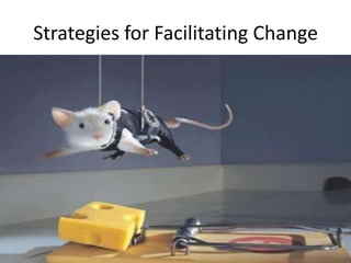 Strategies for Facilitating Change

 