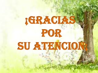 ¡GRACIAS
POR
SU ATENCION¡

 