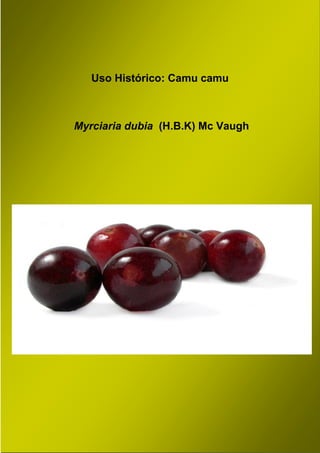 1
Uso Histórico: Camu camu
Myrciaria dubia (H.B.K) Mc Vaugh
 