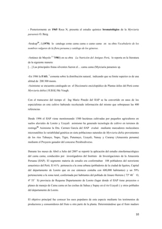 10
- Posteriormente en 1965 Roca N, presenta el estudio químico bromatológico de la Myrciaria
paraensis O. Berg.
-Soukup29
, J.(1970) lo cataloga como camu camu o camo camo en su obra Vocabulario de los
nombres vulgares de la flora peruana y catálogo de los géneros.
-Antúnez de Mayolo 1 (
1981) en su obra La Nutrición del Antiguo Perú, lo reporta en la literatura
de la siguiente manera:
[…] Las principales frutas silvestres fueron el… camu camu (Myrciaria paraensis sp.
-En 1986 la FAO, 7
comenta sobre la distribución natural, indicando que su límite superior es de una
altitud de 200 300 msnm.
-Asimismo se encuentra catalogado en el Diccionario enciclopédico de Plantas útiles del Perú como
Myrciaria dubia ( H.B.K) Mc Vaugh.
Con el transcurso del tiempo el Ing Mario Pinedo del IIAP se ha convertido en unos de los
especialistas en este cultivo habiendo recolectado información del mismo que sobrepasan las 400
referencias.
Desde 1996 el IIAP viene monitoreando 1500 hectáreas cultivadas por pequeños agricultores en
suelos aluviales de Loreto y Ucayali asimismo ha generado tecnología de cultivo en terrenos de
restinga20.
Asimismo la Dra. Carmen García del IIAP evaluó mediante marcadores moleculares
microsatélites la variabilidad genética en siete poblaciones naturales de Myrciaria dubia provenientes
de los ríos Tahuayo, Napo, Tigre, Putumayo, Ucayali, Nanay y Curaray (Amazonía peruana)
mediante el Proyecto ganador del concurso Perubiodiverso.
Durante los meses de Abril a Julio del 2007 se reportó la aplicación del estudio etnofarmacológico
del camu camu; conducidos por investigadores del Instituto de Investigaciones de la Amazonía
Peruana (IIAP). El segmento materia de estudio era conformaban 108 pobladores del nororiente
amazónico del Perú. El 41% pertenecía a la zona urbana (pobladores de la ciudad de Iquitos, Capital
del departamento de Loreto que en ese entonces contaba con 600,000 habitantes) y un 59%
perteneciente a la zona rural, conformada por habitantes del poblado de Jenaro Herrera ( 73º 40’ O,
4º 55’S) provincia de Requena Departamento de Loreto (lugar donde el IIAP tiene proyectos o
planes de manejo de Camu camu en las cochas de Sahua y Supay en el rio Ucayali ) y otros poblados
del departamento de Loreto.
El objetivo principal fue conocer los usos populares de esta especie mediante los testimonios de
productores y consumidores del fruto u otra parte de la planta. Determinándose que el fruto maduro
 