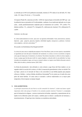 11
es utilizado por el 64% de la población encuestada, mientras el 19% indica el uso del tallo, 6% fruto
verde, 6% hojas, 4% de raíz y 1% la semilla.
Al respecto Pinedo M., menciona en la Rev. LEISA de Agroecología en diciembre del 2007 que: que
la población trata un promedio de 36 enfermedades mediante el uso tradicional aplicado con el camu
camu , siendo predominantemente empleado para el tratamiento de la artritis 33% ,resfrió 17%,
diabetes mellitus 1% , colesterol 7% , bronquitis 4% , deficiencia de vitamina C 4%, inflamación 2%
y gripe .
Asimismo nos dice que:
Se utiliza tradicionalmente en Loreto, para curar las siguientes enfermedades: Asma, arterosclerosis, cataratas,
depresión, gripe, gingivitis, glaucoma, hepatitis, infertilidad migraña, osteoporosis y parkinson. Asimismo
como analgésico, antiviral y antioxidante. 21
De acuerdo a la Etnobotánica Elsa Rengifo del IIAP :
La corteza de camu camu es empleada para preparar el licor Siete Raíces, junto con otras especies, macerándolas
en aguardiente por siete días para el tratamiento del reumatismo. La corteza y la raíz en cocimiento se ingieren
como agua de tiempo para el reumatismo y las diarreas. Para dolores musculares se utiliza la corteza raspada, a
la que se agrega agua hervida para recibir los vapores (ligadas) y colocarla sobre la zona adolorida. Las hojas
trituradas son sumergidas en agua, con la que se remoja la cabeza o se ingiere como bebida refrescante contra la
fiebre, dolor de cabeza y calentura interna. (IIAP, 2001)
La forma de presentación más utilizada es: como extracto o jugo fresco del fruto maduro y en un
segundo orden la cocción de la corteza y el tallo; la maceración generalmente se hace en alcohol. Por
sus bajos precios en el mercado de frutas se ha convertido en una bebida popular para preparar
refrescos o bebidas e incluso bebidas alcohólicas fermentadas17
es de común uso al medio día como
parte del menú familiar.. El camu camu es asociado a cultivos tradicionales en su mayor parte
temporales a fin de mejorar su manejo integral.
5. USO ALIMENTICIO:
La principal característica de este fruto es su alto contenido de vitamina C, siendo una fuente vegetal
importante sobre todo porque el hombre ni los animales pueden sintetizar Vitamina C, es necesaria
para la formación de colágeno, correcta cicatrización de heridas, reparación y mantenimiento de los
tejidos de las diferentes partes del cuerpo y también para la síntesis o producción de hormonas y
neurotransmisores. Al igual que otras vitaminas es un poderoso antioxidante.
 