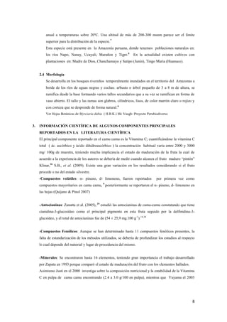 8
anual a temperaturas sobre 20ºC. Una altitud de más de 200-300 msnm parece ser el límite
superior para la distribución de la especie.7
Esta especie está presente en la Amazonía peruana, donde tenemos poblaciones naturales en:
los ríos Napo, Nanay, Ucayali, Marañon y Tigre.6
En la actualidad existen cultivos con
plantaciones en: Madre de Dios, Chanchamayo y Satipo (Junin), Tingo Maria (Huanuco).
2.4 Morfología
Se desarrolla en los bosques rivereños temporalmente inundados en el territorio del Amazonas a
borde de los ríos de aguas negras y cochas; arbusto o árbol pequeño de 3 a 8 m de altura, se
ramifica desde la base formando varios tallos secundarios que a su vez se ramifican en forma de
vaso abierto. El tallo y las ramas son glabros, cilíndricos, lisos, de color marrón claro o rojizo y
con corteza que se desprende de forma natural.6
Ver Hojas Botánicas de Myrciaria dubia ( H.B.K.) Mc Vaugh: Proyecto Perubiodiverso
3. INFORMACIÓN CIENTÍFICA DE ALGUNOS COMPONENTES PRINCIPALES
REPORTADOS EN LA LITERATURA CIENTÍFICA
El principal componente reportado en el camu camu es la Vitamina C; cuantificándose la vitamina C
total ( ác. ascórbico y ácido dihidroascórbico ) la concentración habitual varía entre 2000 y 3000
mg/ 100g de muestra, teniendo mucha implicancia el estado de maduración de la fruta la cual de
acuerdo a la experiencia de los autores se debería de medir cuando alcanza el fruto maduro “pintón”
Klinar,16
S.B., et al. (2009). Existe una gran variación en los resultados considerando si el fruto
procede o no del estado silvestre.
-Compuestos volátiles: α- pineno, d- limoneno, fueron reportados por primera vez como
compuestos mayoritarios en camu camu, 9
posteriormente se reportaron el α- pineno, d- limoneno en
las hojas (Quijano & Pinol 2007)
-Antocianinas: Zanatta et al. (2005), 34
estudió las antocianinas de camu-camu constatando que tiene
cianidina-3-glucosídeo como el principal pigmento en esta fruta seguido por la delfinidina-3-
glucsídeo, y el total de antocianinas fue de (54 ± 25,9 mg.100 g-1
).14,34
-Compuestos Fenólicos: Aunque se han determinado hasta 11 compuestos fenólicos presentes, la
falta de estandarización de los métodos utilizados, se debería de profundizar los estudios al respecto
lo cual depende del material y lugar de procedencia del mismo.
-Minerales: Se encontraron hasta 16 elementos, teniendo gran importancia el trabajo desarrollado
por Zapata en 1993 porque comparó el estado de maduración del fruto con los elementos hallados.
Asimismo Justi en el 2000 investiga sobre la composición nutricional y la estabilidad de la Vitamina
C en pulpa de camu camu encontrando (2.4 a 3.0 g/100 en pulpa), mientras que Yuyama el 2003
 