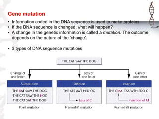 Gene mutation
• Information coded in the DNA sequence is used to make proteins
• If the DNA sequence is changed, what will happen?
• A change in the genetic information is called a mutation. The outcome
depends on the nature of the „change‟.
• 3 types of DNA sequence mutations

 
