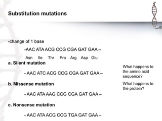 Substitution mutations

-change of 1 base
-AAC ATA ACG CCG CGA GAT GAA –
Asn

Ile

Thr

Pro

Arg

Asp Glu

a. Silent mutation
- AAC ATC ACG CCG CGA GAT GAA –

b. Missense mutation
- AAC ATA AAG CCG CGA GAT GAA –
c. Nonsense mutation

- AAC ATA ACG CCG TGA GAT GAA –

What happens to
the amino acid
sequence?
What happens to
the protein?

 