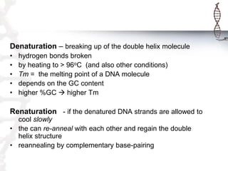 Denaturation – breaking up of the double helix molecule
•
•
•
•
•

hydrogen bonds broken
by heating to > 96oC (and also other conditions)
Tm = the melting point of a DNA molecule
depends on the GC content
higher %GC  higher Tm

Renaturation - if the denatured DNA strands are allowed to
cool slowly
• the can re-anneal with each other and regain the double
helix structure
• reannealing by complementary base-pairing

 