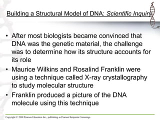 Building a Structural Model of DNA: Scientific Inquiry

• After most biologists became convinced that
DNA was the genetic material, the challenge
was to determine how its structure accounts for
its role
• Maurice Wilkins and Rosalind Franklin were
using a technique called X-ray crystallography
to study molecular structure
• Franklin produced a picture of the DNA
molecule using this technique
Copyright © 2008 Pearson Education Inc., publishing as Pearson Benjamin Cummings

 