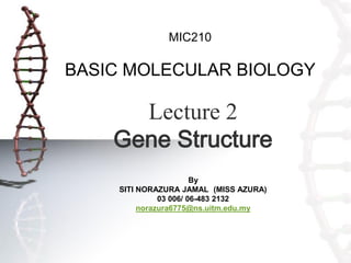 MIC210

BASIC MOLECULAR BIOLOGY

Lecture 2
Gene Structure
By
SITI NORAZURA JAMAL (MISS AZURA)
03 006/ 06-483 2132
norazura6775@ns.uitm.edu.my

 