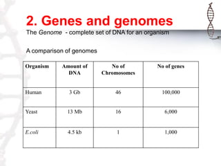 2. Genes and genomes
The Genome - complete set of DNA for an organism
A comparison of genomes
Organism

Amount of
DNA

No ...