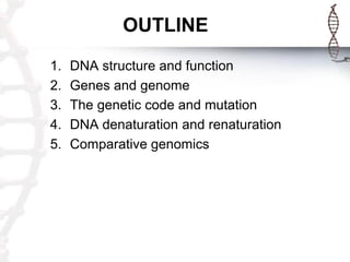 OUTLINE
1.
2.
3.
4.
5.

DNA structure and function
Genes and genome
The genetic code and mutation
DNA denaturation and ren...