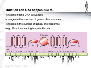 Mutation can also happen due to
-changes in long DNA sequences
-changes in the structure of genes/ chromosomes

-changes i...