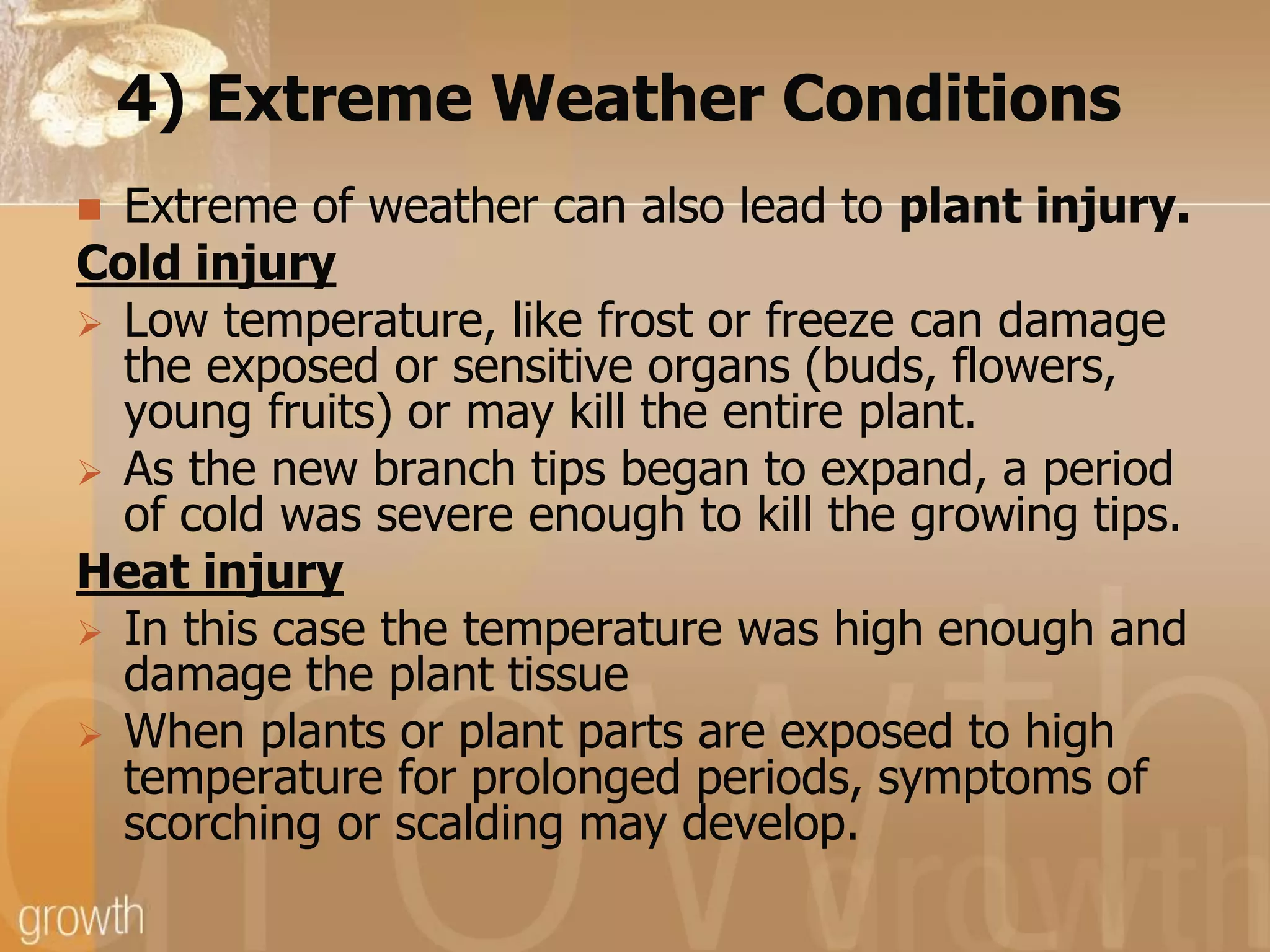 4) Extreme Weather Conditions
Extreme of weather can also lead to plant injury.
Cold injury
 Low temperature, like frost or freeze can damage
the exposed or sensitive organs (buds, flowers,
young fruits) or may kill the entire plant.
 As the new branch tips began to expand, a period
of cold was severe enough to kill the growing tips.
Heat injury
 In this case the temperature was high enough and
damage the plant tissue
 When plants or plant parts are exposed to high
temperature for prolonged periods, symptoms of
scorching or scalding may develop.


 