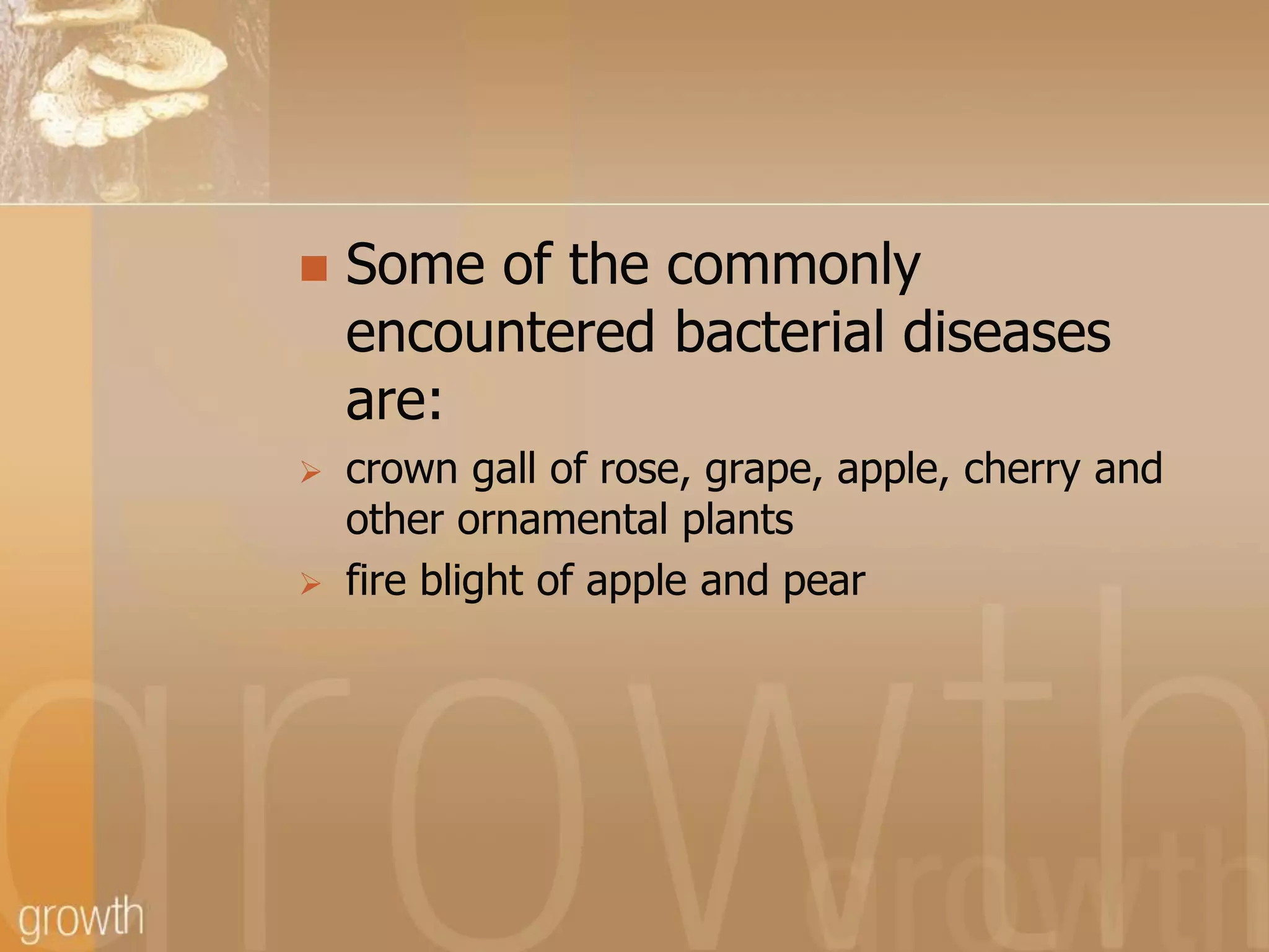 




Some of the commonly
encountered bacterial diseases
are:
crown gall of rose, grape, apple, cherry and
other ornamental plants
fire blight of apple and pear

 