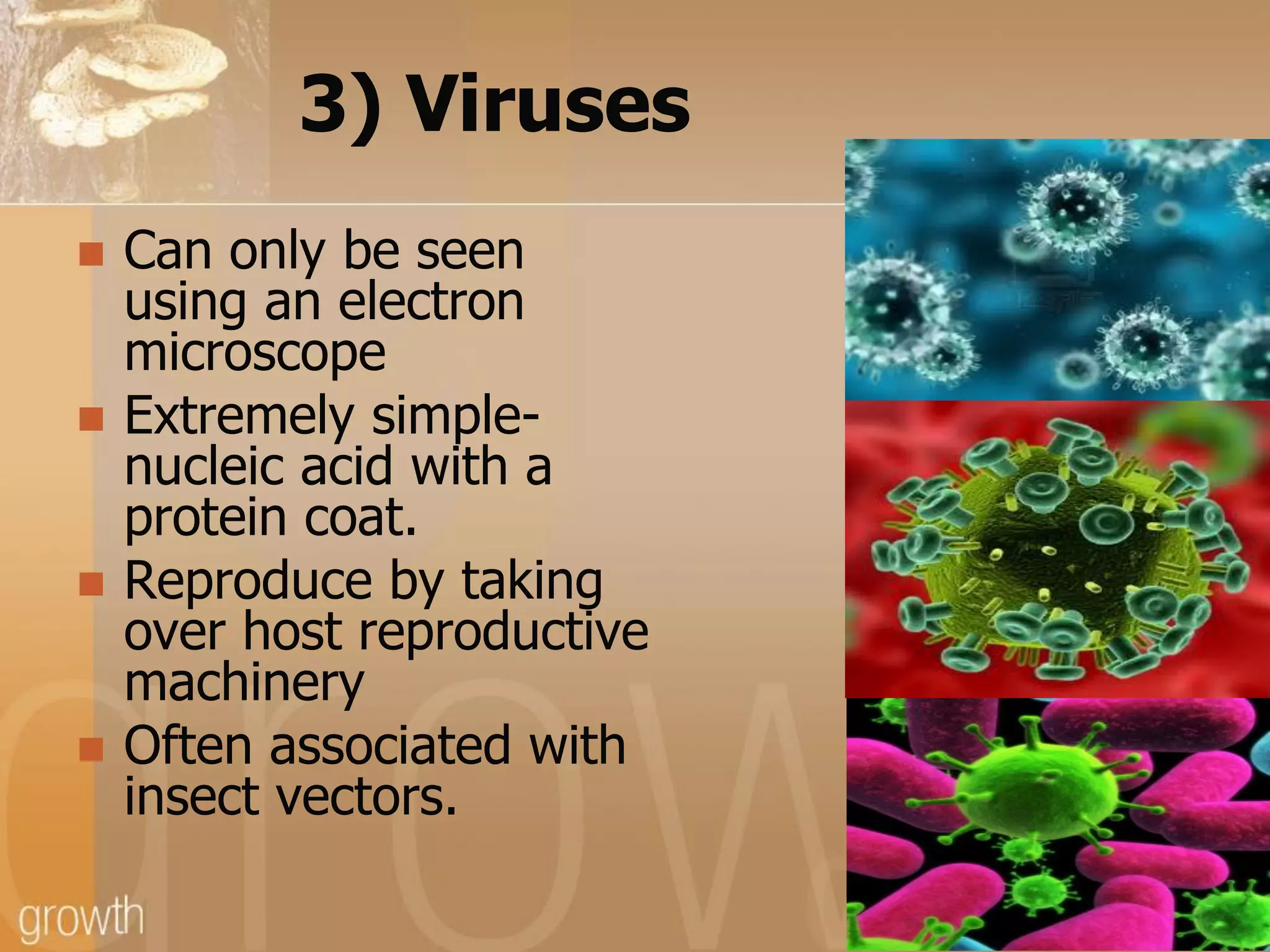3) Viruses








Can only be seen
using an electron
microscope
Extremely simplenucleic acid with a
protein coat.
Reproduce by taking
over host reproductive
machinery
Often associated with
insect vectors.

 