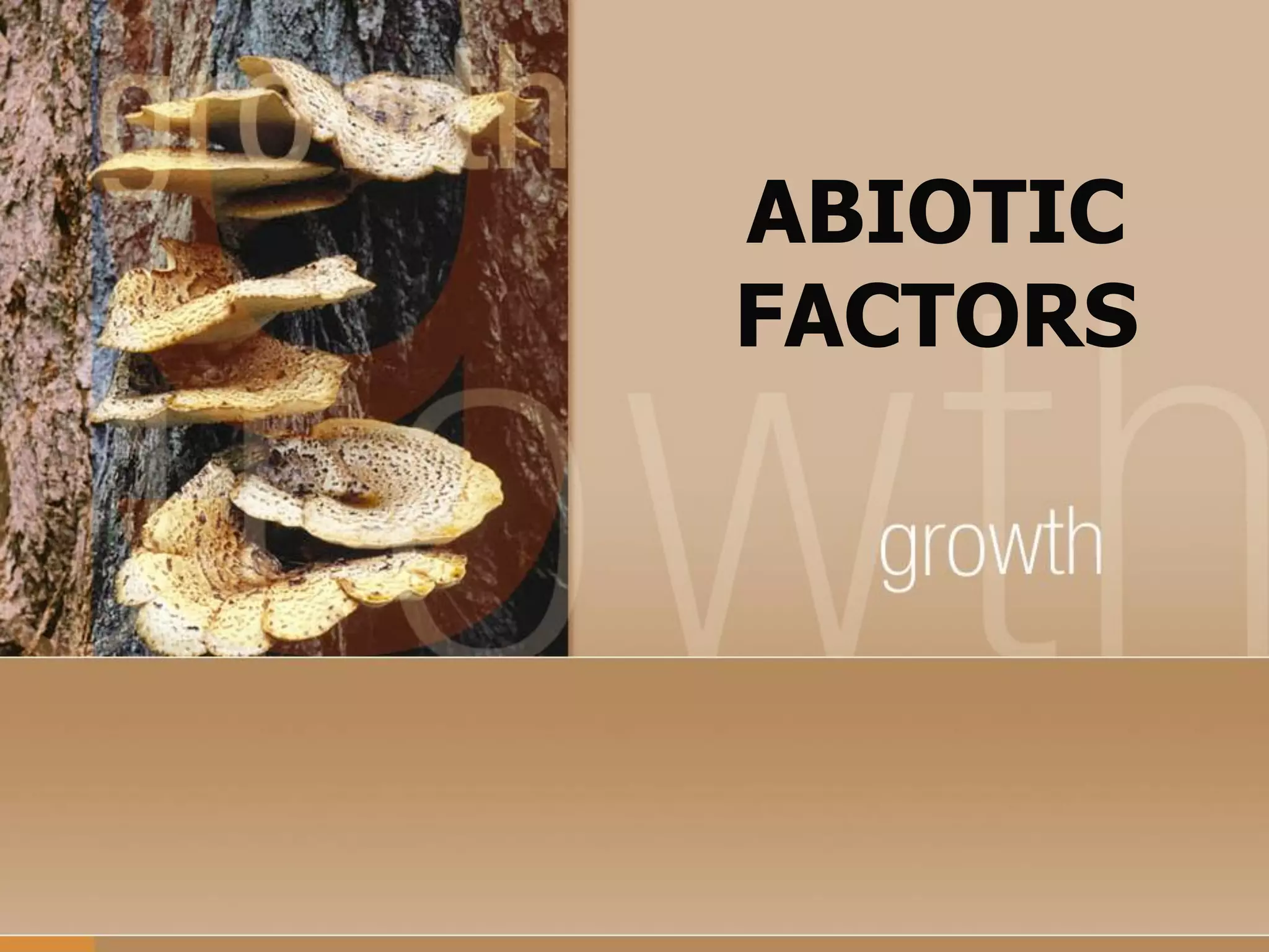 ABIOTIC
FACTORS

 